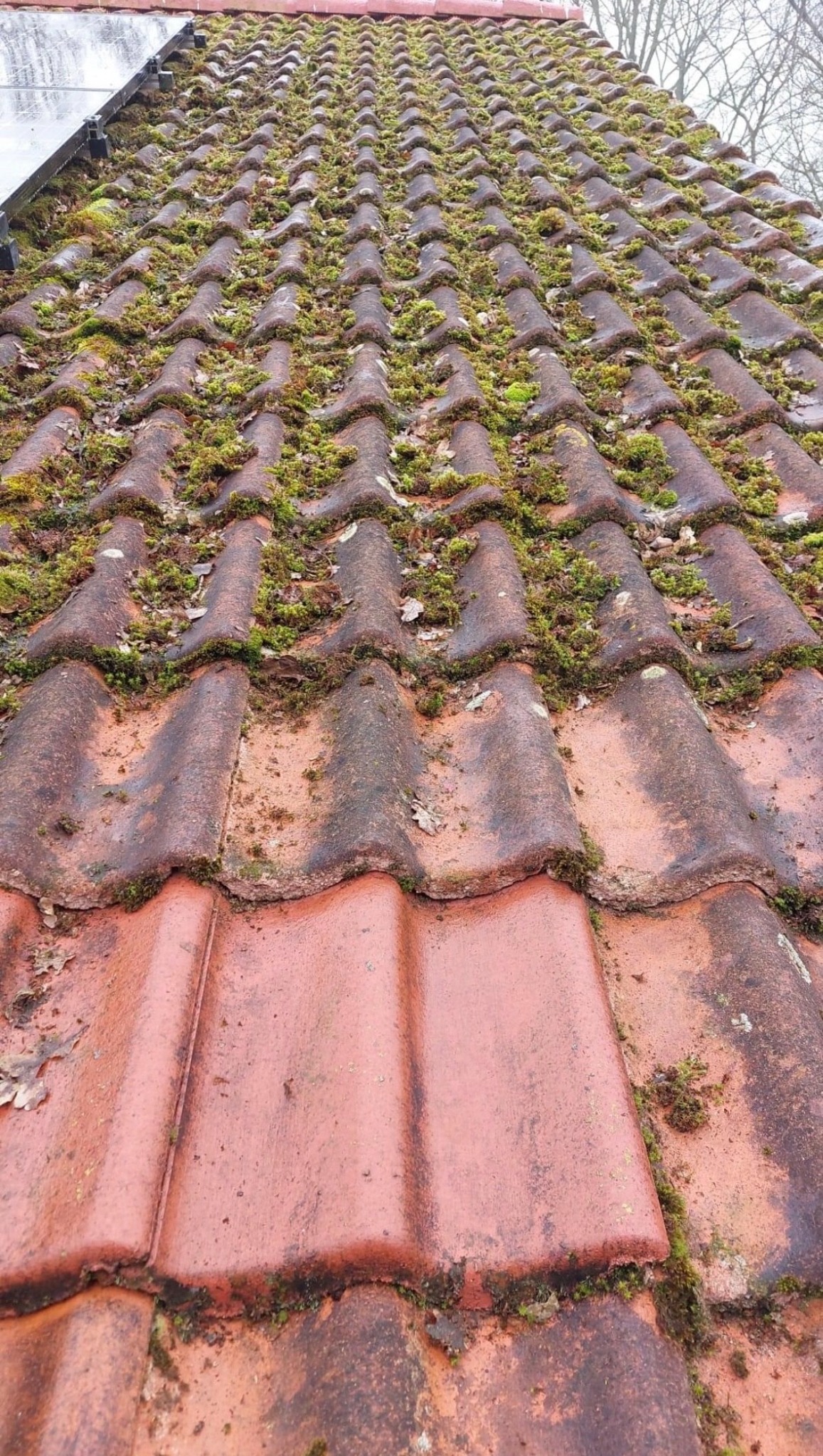 EEN SCHOON DAK DAT LANGER MEEGAAT. detail en diagnose
