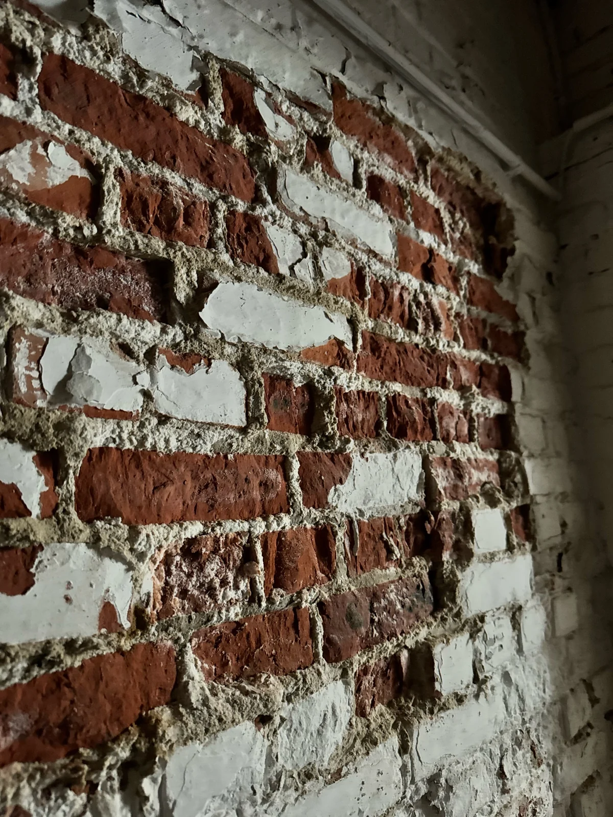 Detailbeeld van een kelderwand binnen de geselecteerde Brusselse projectregistratie